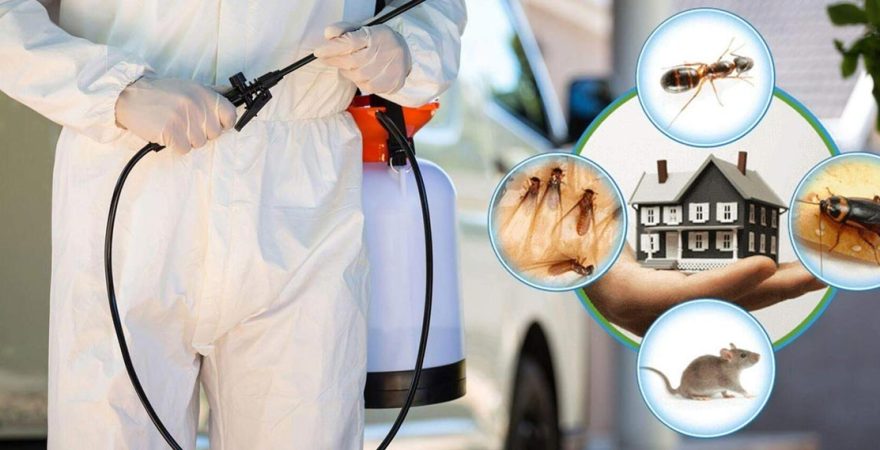 Yenice Böcek İlaçlama