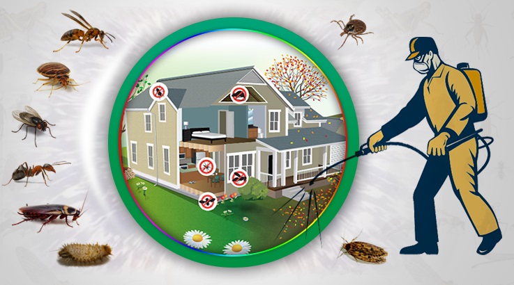 Yenice Böcek İlaçlama