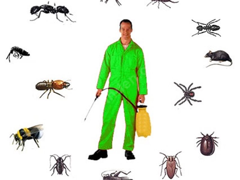 Yenice Böcek İlaçlama